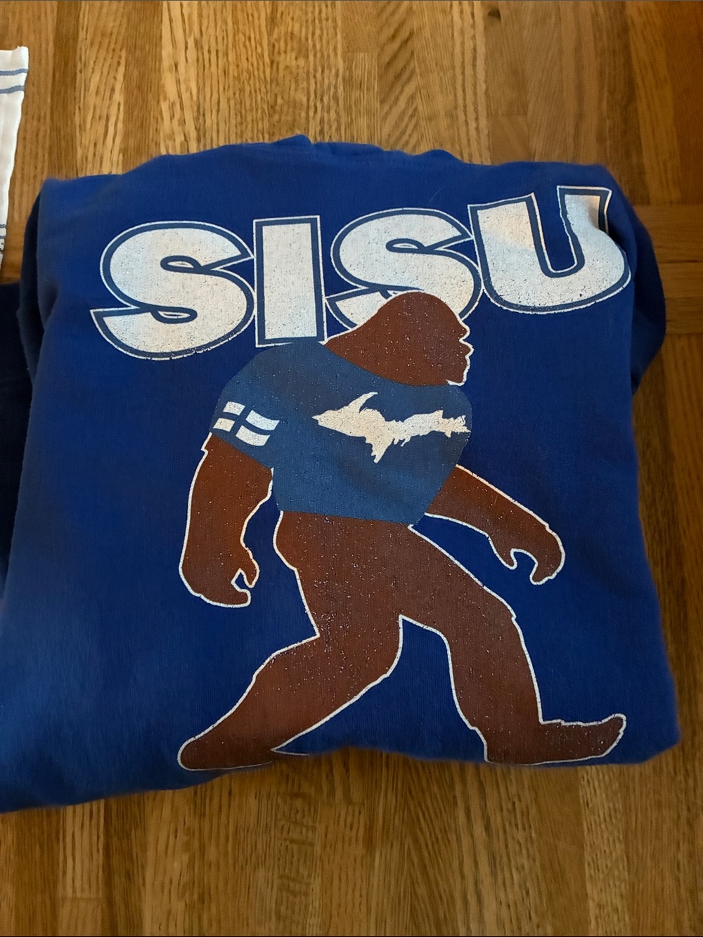 Sisu BigFoot Hooded Sweatshirt, L